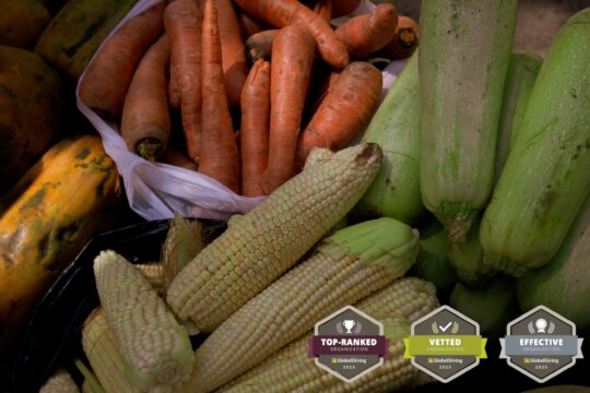 Delivery of Nutritious food for monkeys