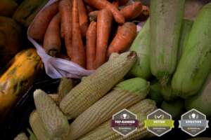 Delivery of Nutritious food for monkeys