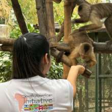 Feeding happy monkeys