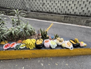 Food for monkeys