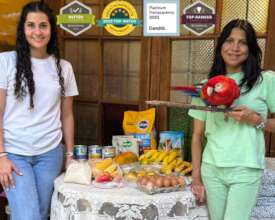 Providing food to grow and thrive!