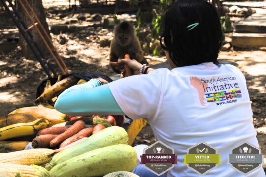 Monkey receiving nutritious food