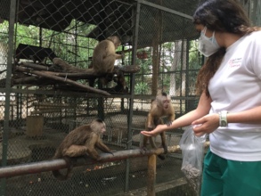 Playful monkeys receiving care and food!
