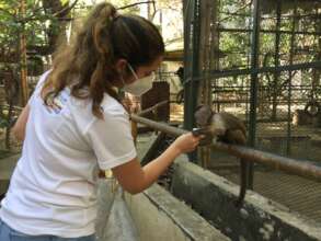 Feeding monkeys!