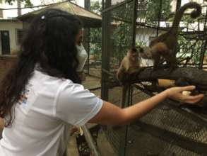 Feeding the monkeys!