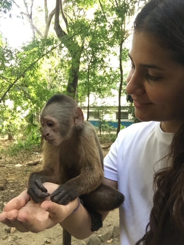 Rescue Venezuela's Starving Zoo Animals