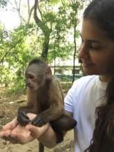 SAI zoo keeper holds adorable baby-monkey.