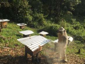 Beekeeper and beehives