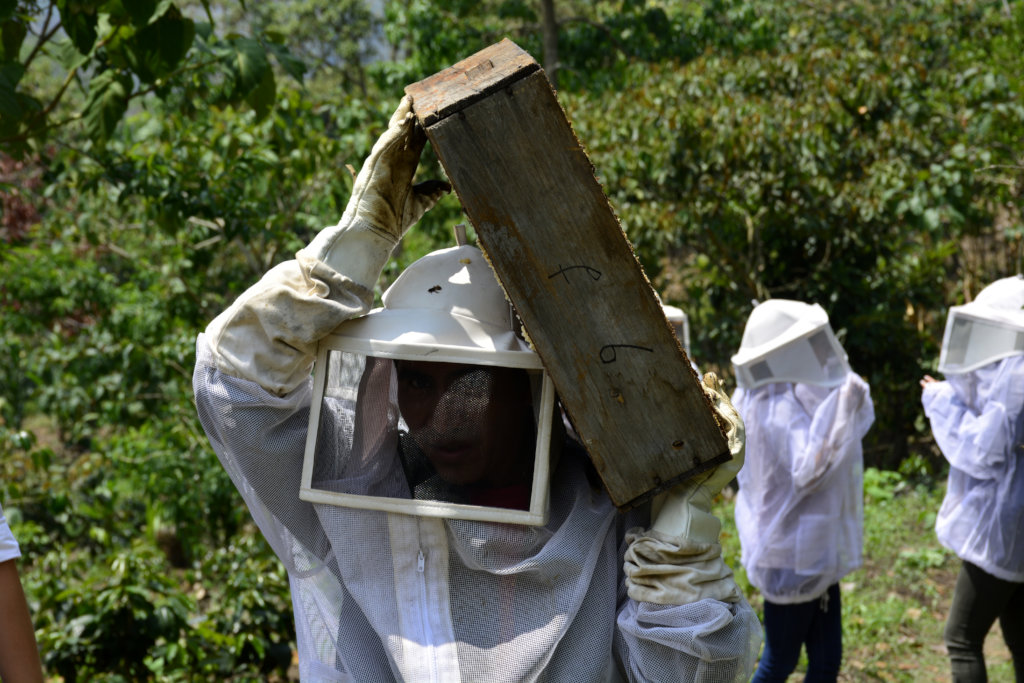 Helping 200 beekepers adapt to climate change