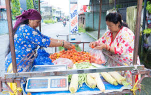 Break cycles of poverty, Empower single women!