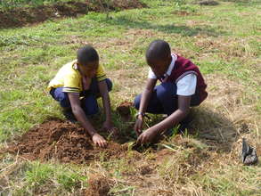 Planting trees