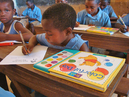 Provide Solar Technology & Basic Computer Training