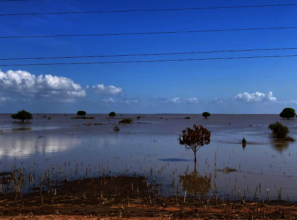 Flood-damaged farmland