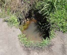 Water of dug well used during the dry season