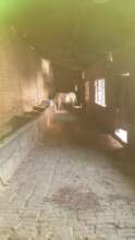 New floorings