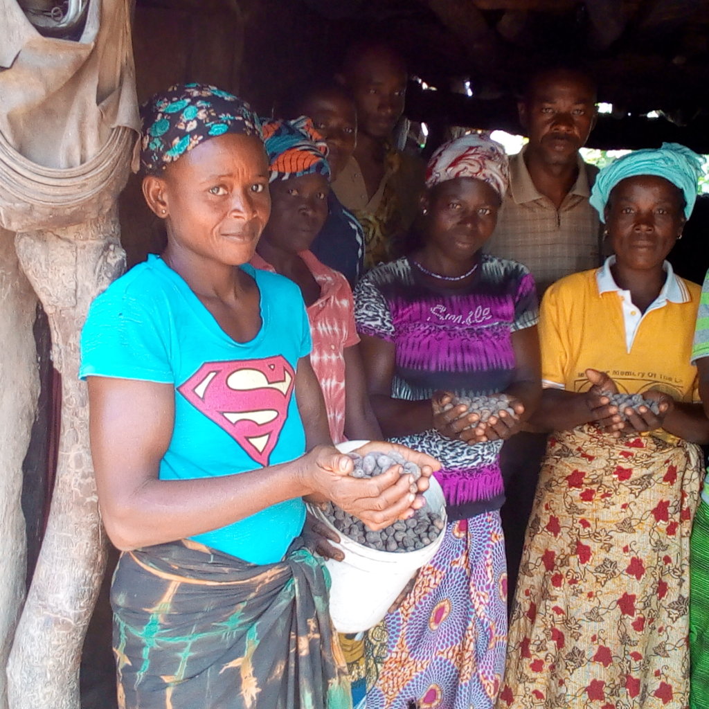 Help Complete  Shea Butter Processing Centre-Ghana