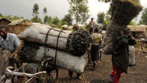 Self care of 1023 widows and 4218orphans in Bunia