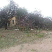 Smash building under forest tree
