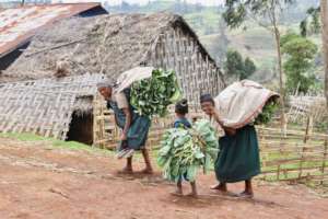Women headed to the local market