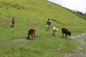 Current water source