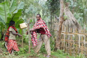 New hygienic behaviours