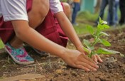 Let's Combat Climate Change Together