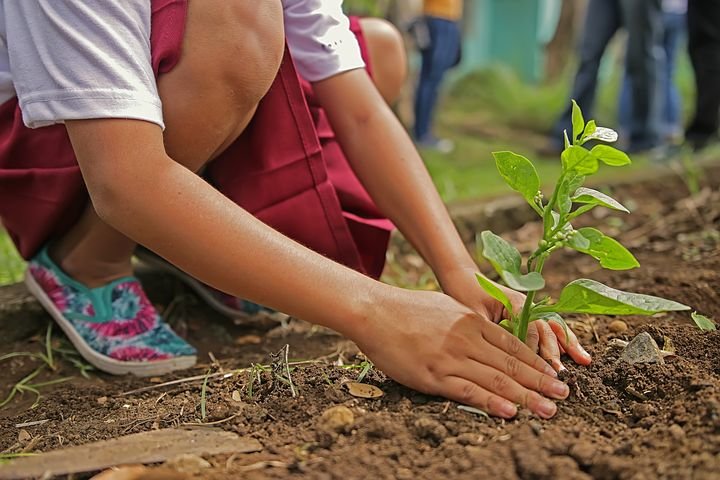Let's Combat Climate Change Together