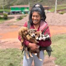Girl bringing her dogs to our clinic