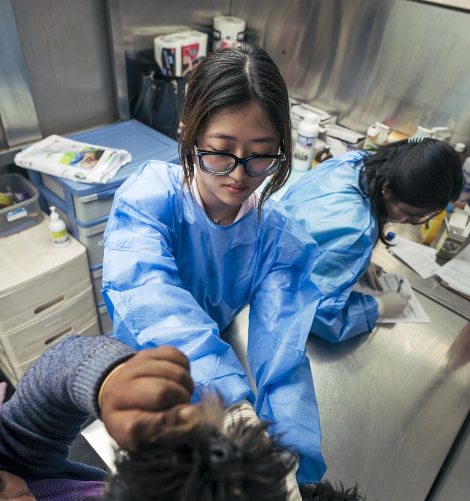 Volunteer Yuxiaoxiao assisting the Vet