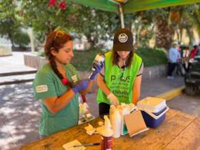 Our PAWS dog welfare project in Peru