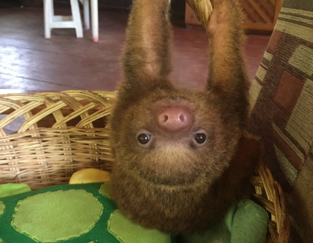 Support Globalteer Worldwide