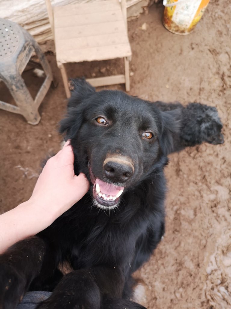 Support Globalteer Worldwide