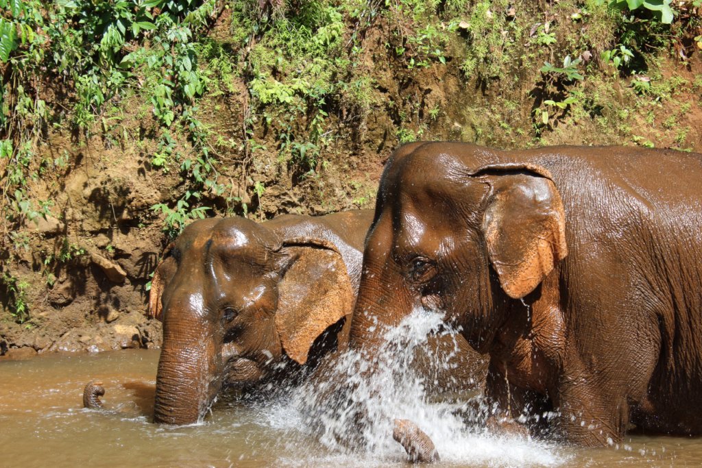 Support Globalteer Worldwide