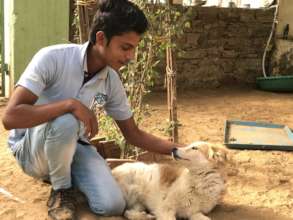 Amarjeet with Toffee, one of our shelter dogs