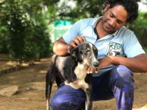 Jacky with an amputee dog