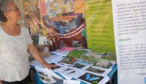 display at fair