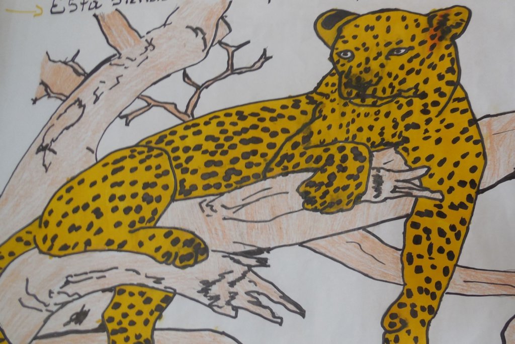 Help Artists w/disABILITY Fight Animal Extinction