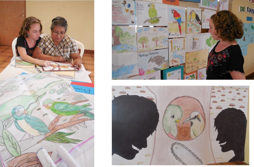 Revewing drawings animals in danger of extinction