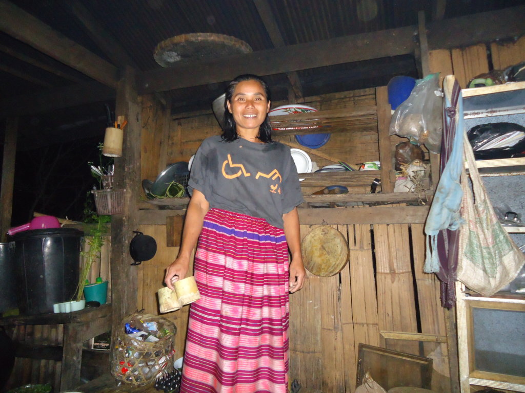 Safe Water for Thai Hill Tribes