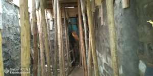 Seed School Library construction