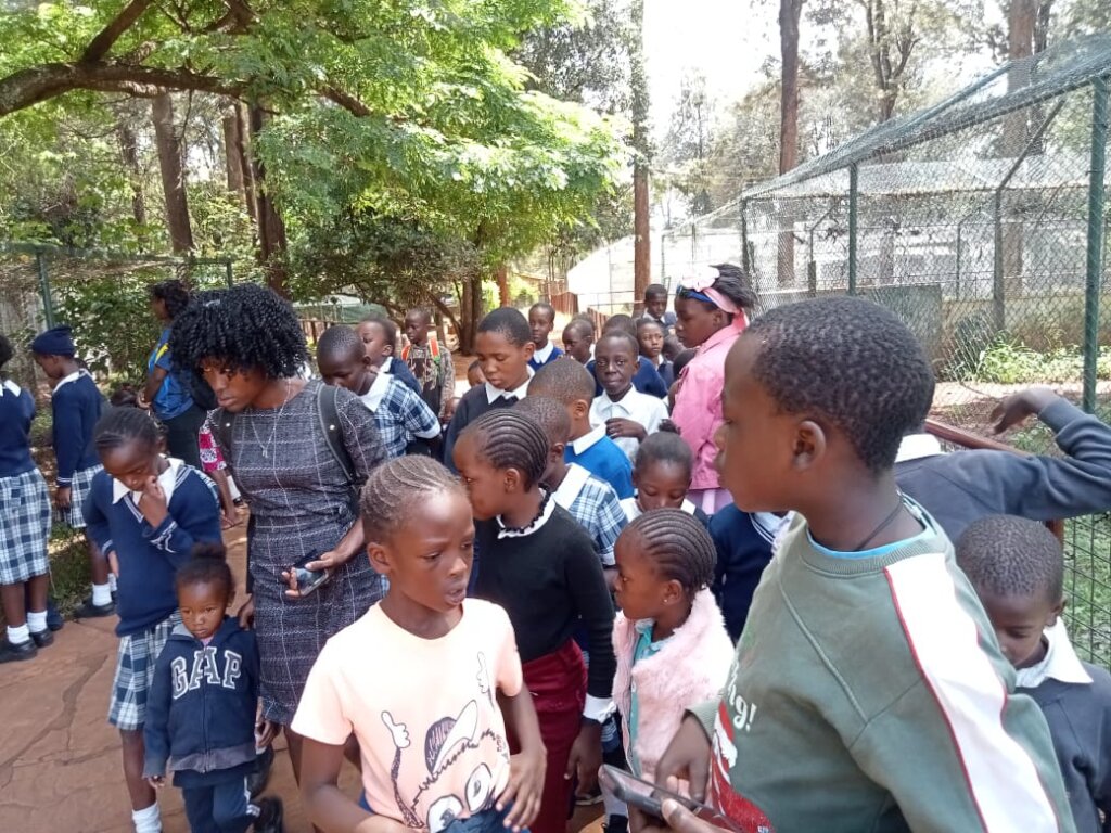 Seed School children on a field trip in the park