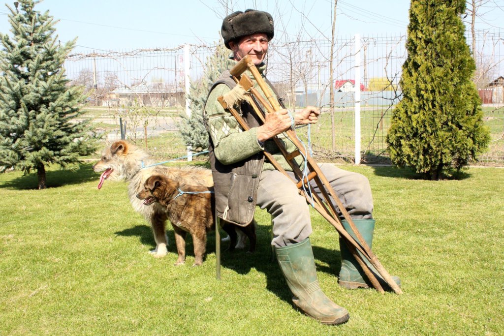 Sterilization of dogs from Romanian poor villages
