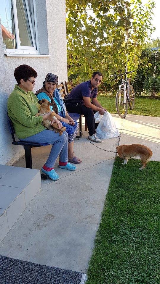 Sterilization of dogs from Romanian poor villages