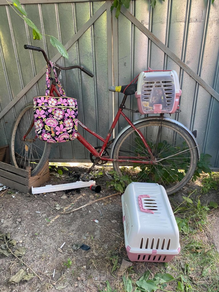 Sterilization of dogs from Romanian poor villages