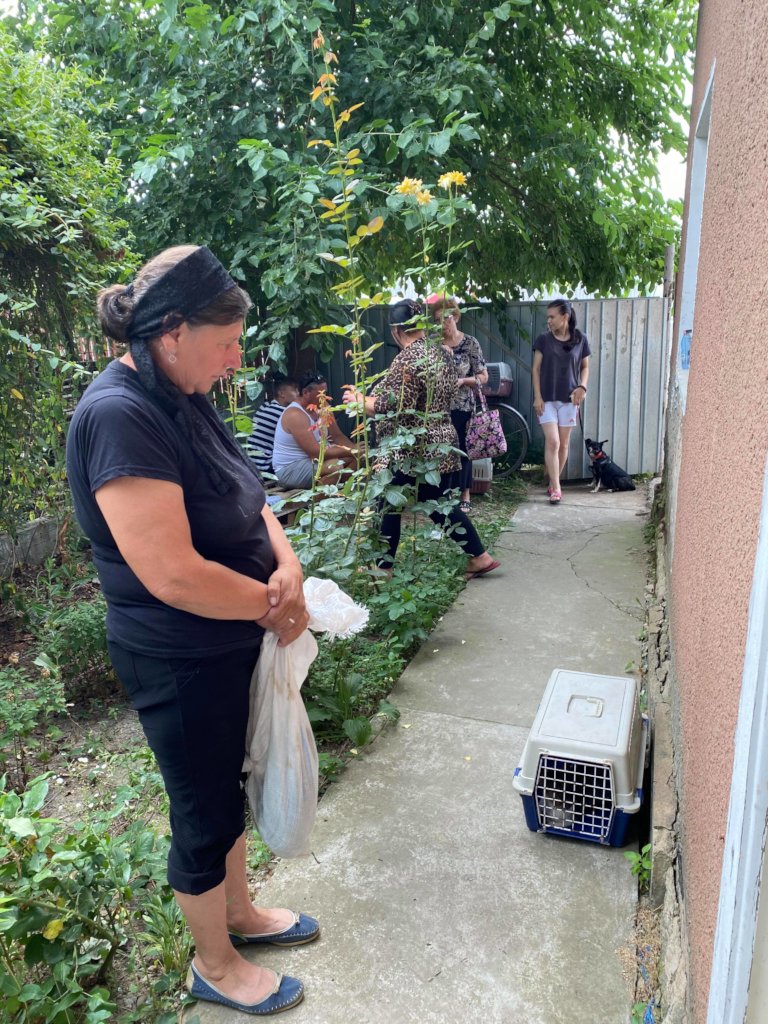 Sterilization of dogs from Romanian poor villages