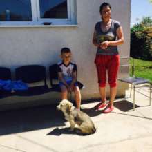 People of all ages and their pets at the vet