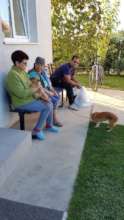 Waiting line at the vet clinic