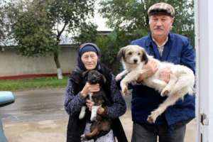 Villagers bring their pets for sterilization