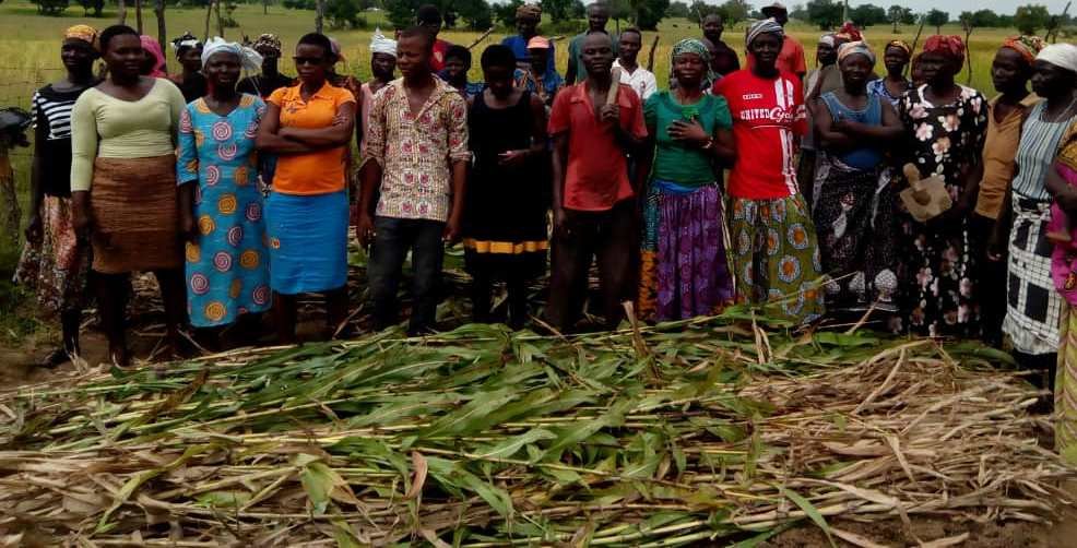 Provide 500 farmers with 2 solar boreholes