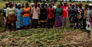 Provide 500 farmers with 2 solar boreholes